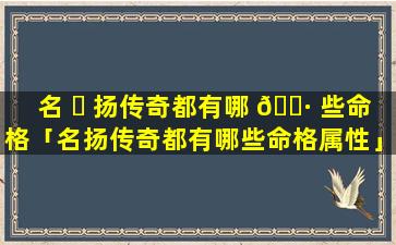 名 ☘ 扬传奇都有哪 🌷 些命格「名扬传奇都有哪些命格属性」